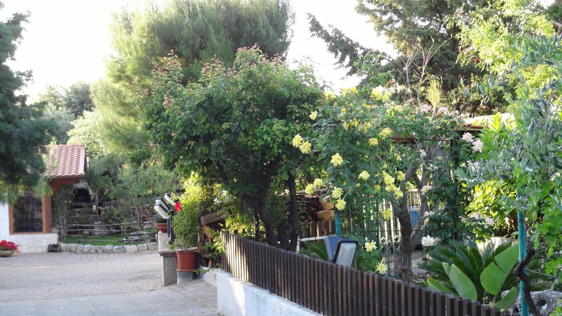 Bed And Breakfast La Casetta Monopoli Exterior foto