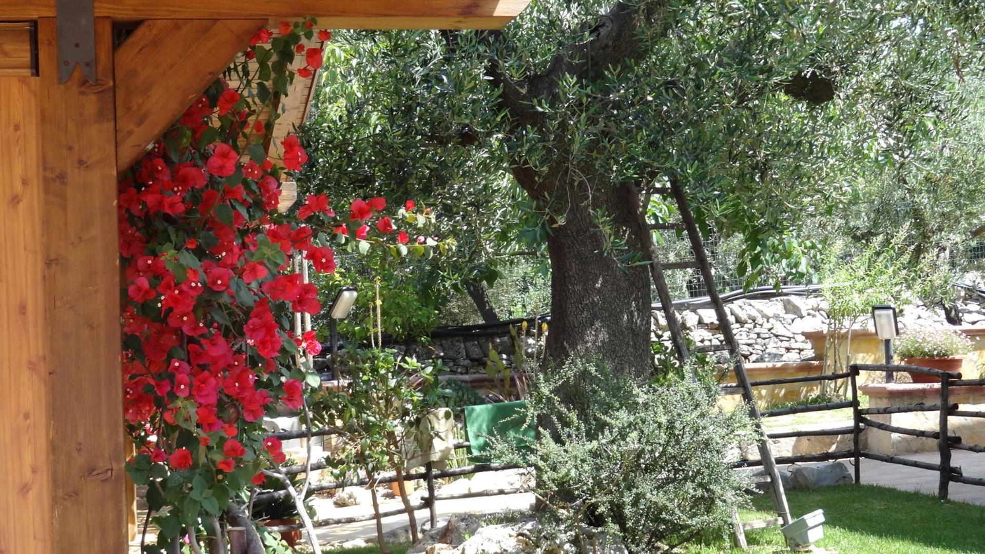 Bed And Breakfast La Casetta Monopoli Exterior foto